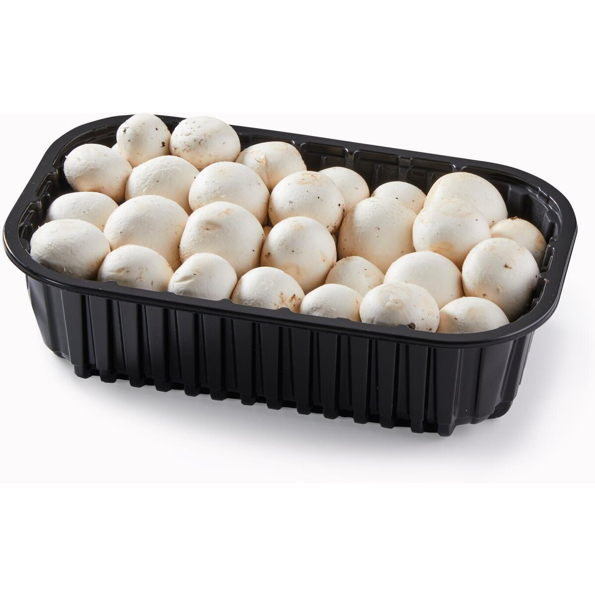 Sitemapcdatahttpsshopinf Inetcomoronge Champignon Prix Au Kilo