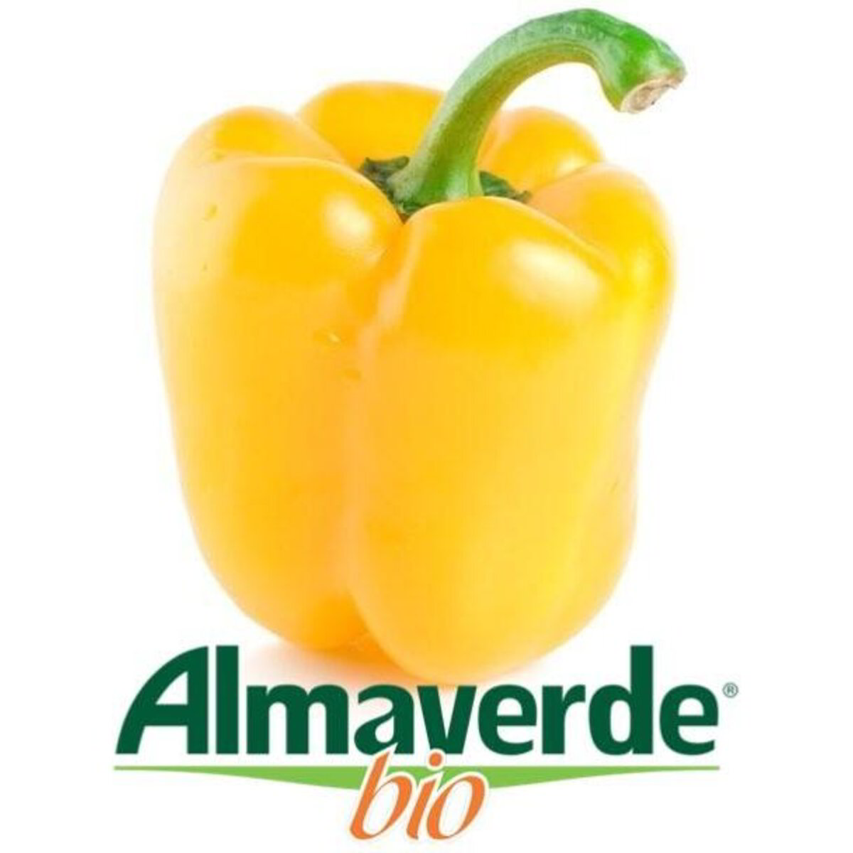 Produzione Peperone Di Senise IGP | Azienda Agricola SUD - Foto 6